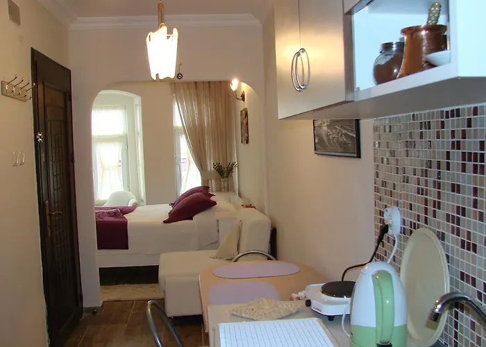 佛拉尔公寓酒店 公寓 伊斯坦布尔